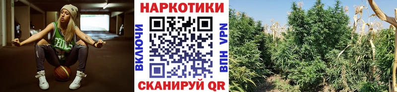 Продажа наркотиков Полесск АМФЕТАМИН  Cocaine  Гашиш  Мефедрон  МАРИХУАНА 