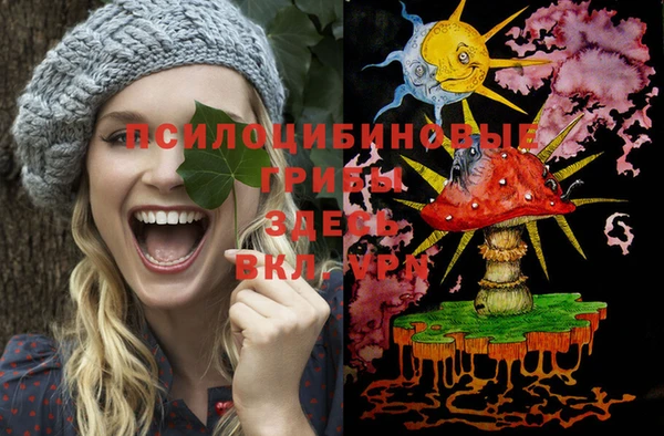 винт Белокуриха