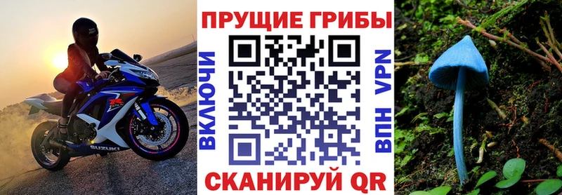 Галлюциногенные грибы Psilocybine cubensis  Полесск 
